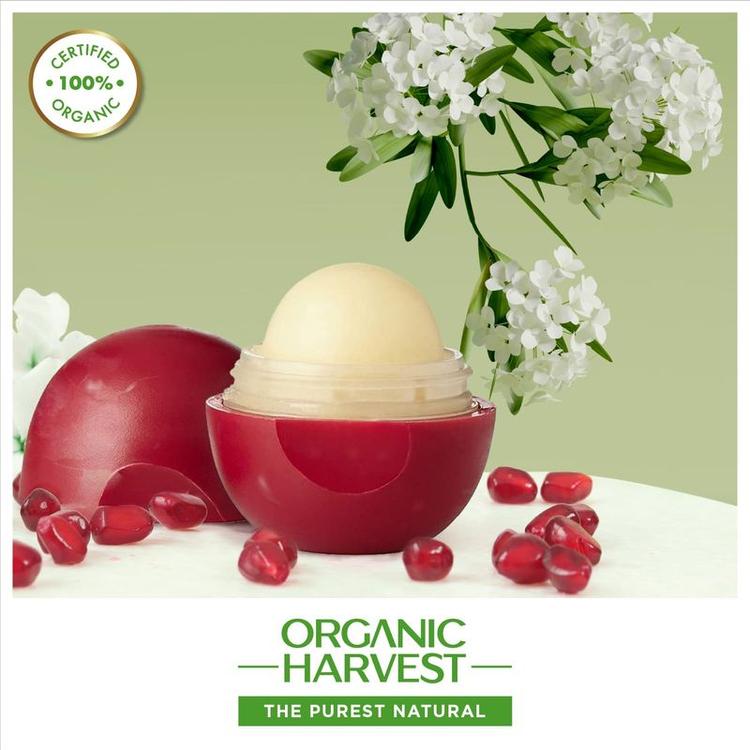 8908005358664-Lip-Balm---Pomegranate-5.jpg