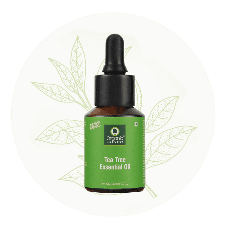 ESSENTIAL-OIL-TEA-TREE-1_7.png